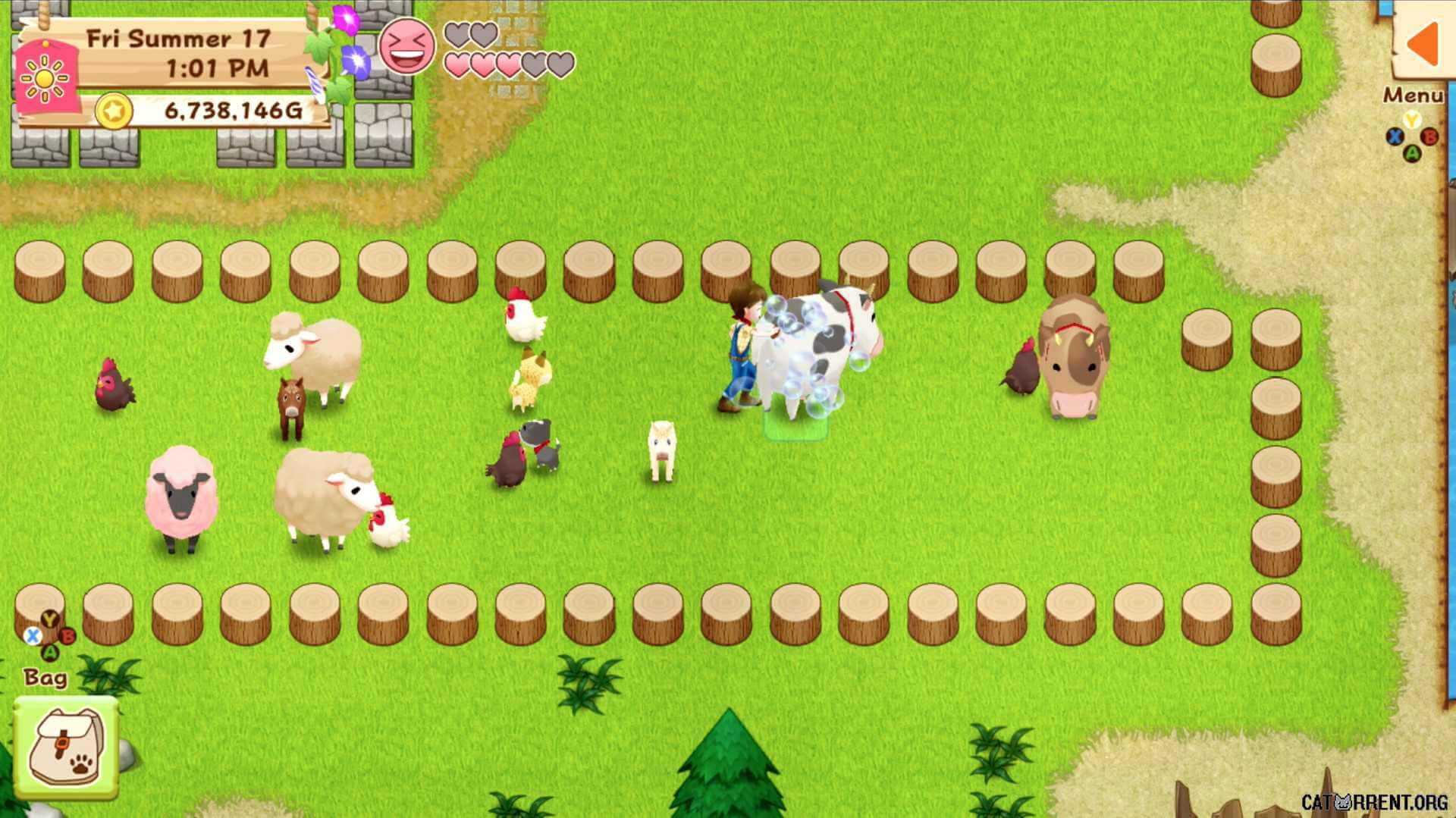 Harvest Moon: Light of Hope - Special Edition [PLAY STATION 4]