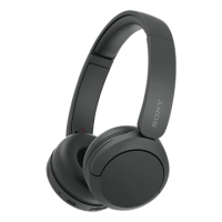 Sony WH-CH520[НАУШНИКИ]
