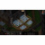 Baldur's Gate: Enhanced Edition[NINTENDO SWITCH]