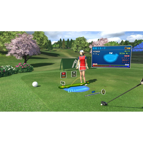 Everybody's Golf (только для PS VR) [Playstation 4]