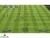 Fifa 13[Б.У ИГРЫ PLAY STATION 3]
