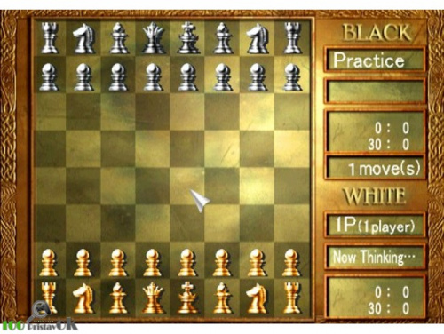 Play it Chess Challenger [Б.У ИГРЫ PLAY STATION 2]