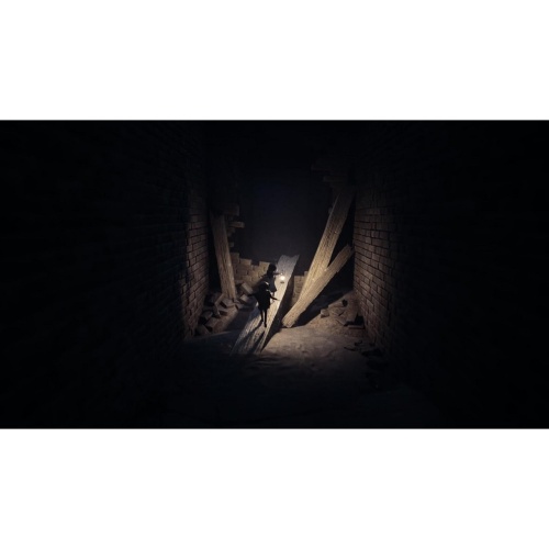 Reanimal - Deluxe Edition (Game-Key Card) [SWITCH 2]