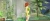 Sims 2 Робинзоны[Б.У ИГРЫ PSP]