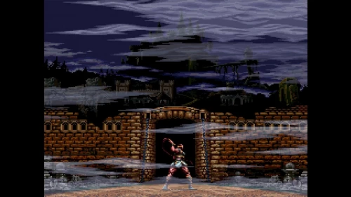 Castlevania Anniversary Collection[SWITCH]