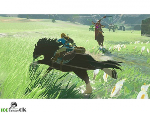 The Legend of Zelda: Breath of the Wild[Б.У ИГРЫ NINTENDO SWITCH]