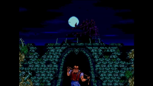 Castlevania Anniversary Collection[SWITCH]