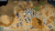 The Colonists (ENG)[SWITCH]