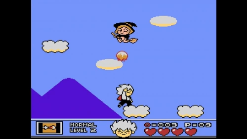 Castlevania Anniversary Collection[SWITCH]