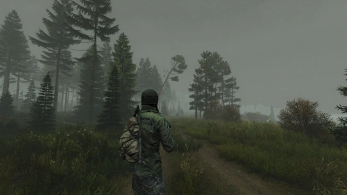 Day Z[Б.У ИГРЫ XBOX ONE]