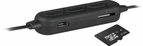 Беспроводная гарнитура FreeMotion B660 black, SD-карта, Bluetooth