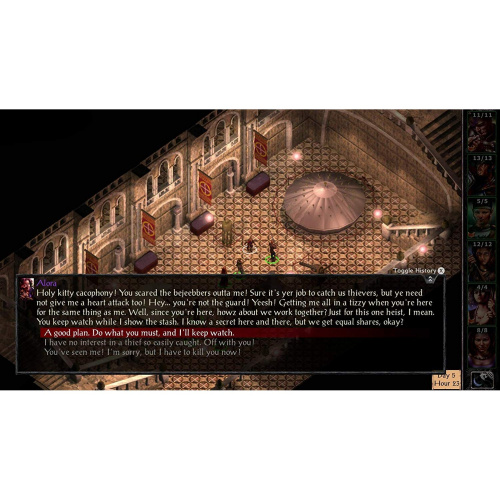 Baldur's Gate: Enhanced Edition[NINTENDO SWITCH]