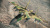 Ace Combat: Assault Horizon[Б.У ИГРЫ PLAY STATION 3]
