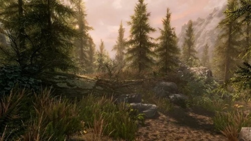The Elder Scrolls V: Skyrim VR (только для PS VR) [Б.У ИГРЫ PLAYSTATION 4]