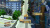 Sonic Generations [Б.У ИГРЫ XBOX360]